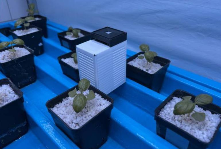 Sensore ambientale NEX posizionato tra le piante di basilico